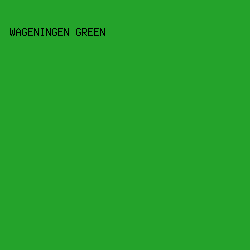 24A32B - Wageningen Green color image preview