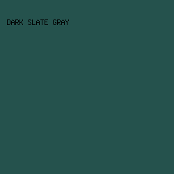 25524D - Dark Slate Gray color image preview