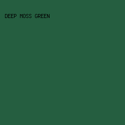 255E40 - Deep Moss Green color image preview