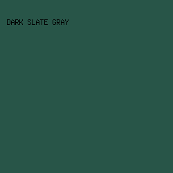 285548 - Dark Slate Gray color image preview