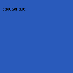 295ABB - Cerulean Blue color image preview