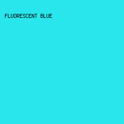 29E5EC - Fluorescent Blue color image preview