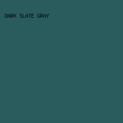 2A5C5E - Dark Slate Gray color image preview