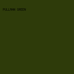 2E3B0A - Pullman Green color image preview