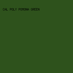 2E521C - Cal Poly Pomona Green color image preview