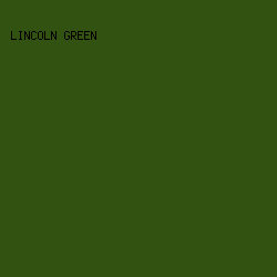 325211 - Lincoln Green color image preview