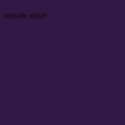 331743 - Russian Violet color image preview