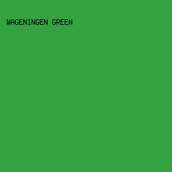 33A240 - Wageningen Green color image preview