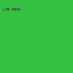 33C13F - Lime Green color image preview