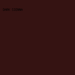 351312 - Dark Sienna color image preview