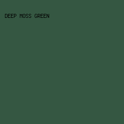 355742 - Deep Moss Green color image preview