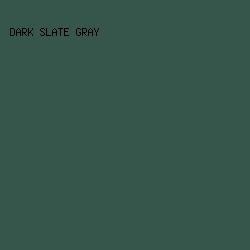 36564C - Dark Slate Gray color image preview
