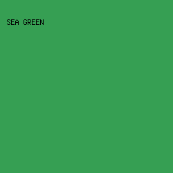 369F53 - Sea Green color image preview