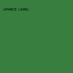 377E3F - Japanese Laurel color image preview
