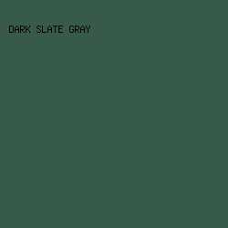 385A4D - Dark Slate Gray color image preview