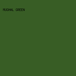 385D25 - Mughal Green color image preview