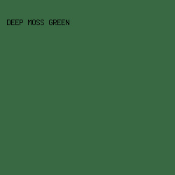 386942 - Deep Moss Green color image preview