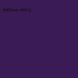 3A1A52 - American Purple color image preview