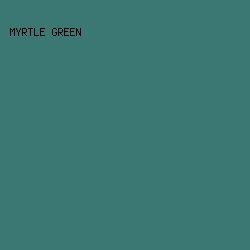 3B7873 - Myrtle Green color image preview