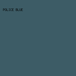 3D5C66 - Police Blue color image preview