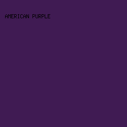 401B53 - American Purple color image preview