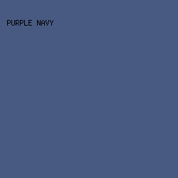 495A82 - Purple Navy color image preview