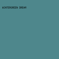 4E878C - Wintergreen Dream color image preview