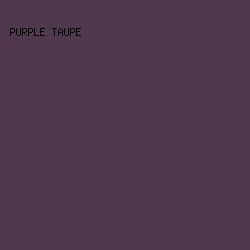 50394F - Purple Taupe color image preview