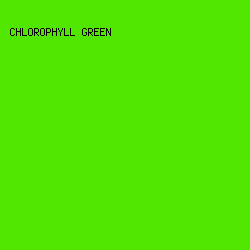 50E600 - Chlorophyll Green color image preview