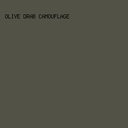 525247 - Olive Drab Camouflage color image preview