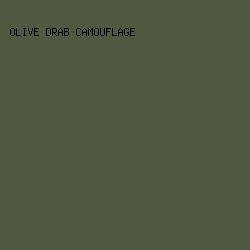 52583F - Olive Drab Camouflage color image preview