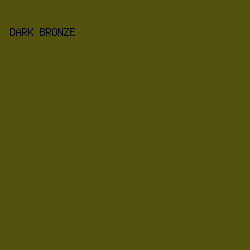 53520C - Dark Bronze color image preview