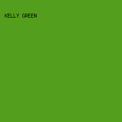 539F1D - Kelly Green color image preview