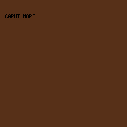 573018 - Caput Mortuum color image preview
