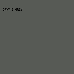575A55 - Davy's Grey color image preview