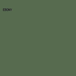 576C4E - Ebony color image preview