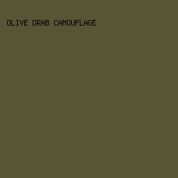 585436 - Olive Drab Camouflage color image preview