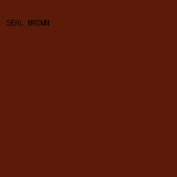 5B1B08 - Seal Brown color image preview