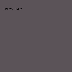 5B5358 - Davy's Grey color image preview