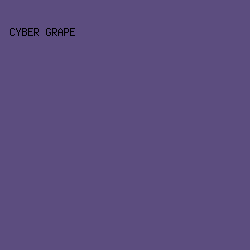 5C4D7F - Cyber Grape color image preview
