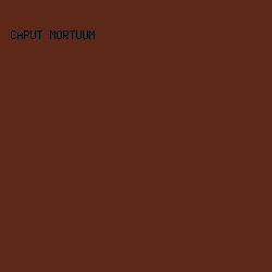 5D2818 - Caput Mortuum color image preview