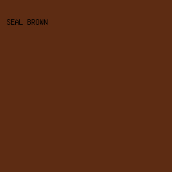 5D2C13 - Seal Brown color image preview