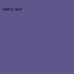 5D578C - Purple Navy color image preview