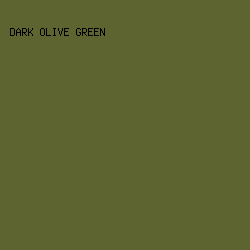 5D6430 - Dark Olive Green color image preview