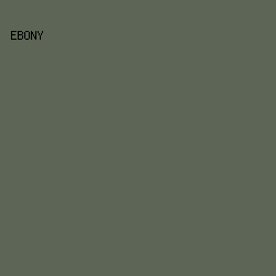 5D6656 - Ebony color image preview