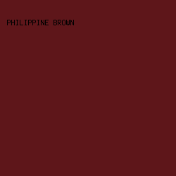5E161A - Philippine Brown color image preview