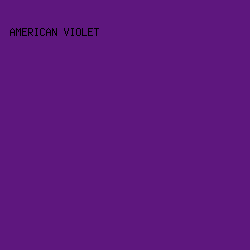 5E177E - American Violet color image preview