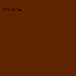 5F2400 - Seal Brown color image preview