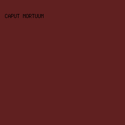 602020 - Caput Mortuum color image preview