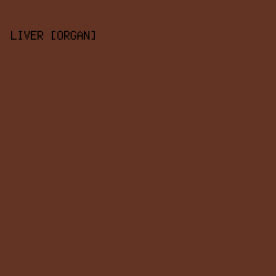633424 - Liver [Organ] color image preview